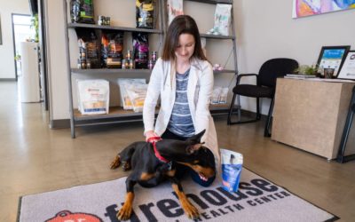 Firehouse Now Carries CBD Chews and Oils for Your Pets