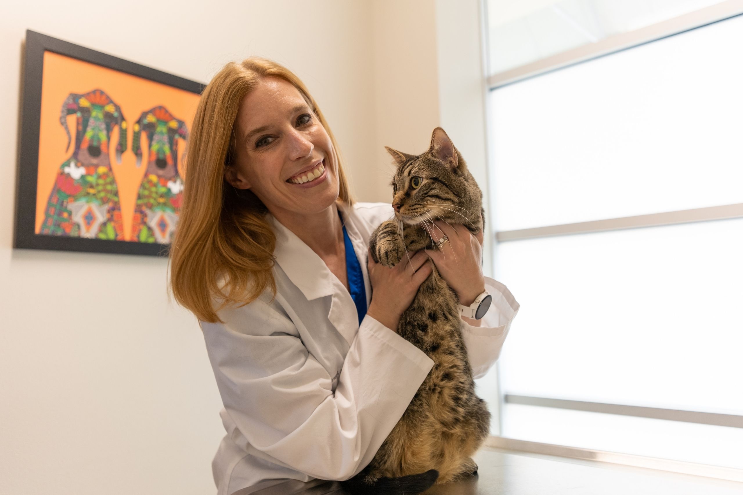 Dr Jenny Bryant and cat 