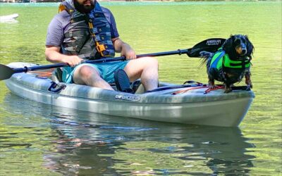 Protecting Your Pets: Boating and Lake Safety Tips for Pets  Planning ahead for accident prevention