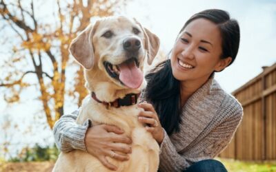 Pet Safety: Coyotes, Bobcats, & Owls  Prevent your cats & dogs from becoming prey to neighborhood wildlife