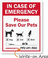 blog-img-1-1 in case of emergency: please save our pets